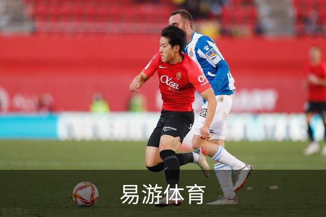 关于易游体育